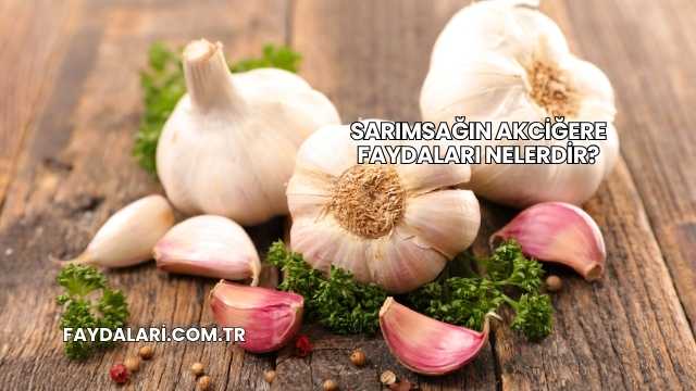 Sarımsağın Akciğere Faydaları Nelerdir?