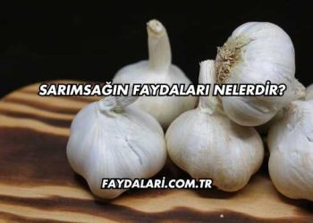 Sarımsağın Faydaları Nelerdir?