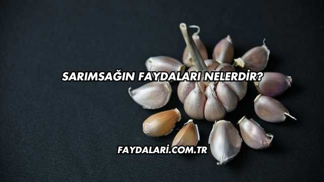 Sarımsağın Faydaları Nelerdir?