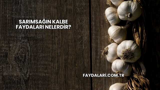 Sarımsağın Kalbe Faydaları Nelerdir?