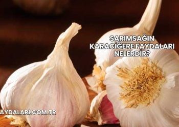 Sarımsağın Karaciğere Faydaları Nelerdir?