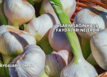 Sarımsağın Kaşa Faydaları Nelerdir?