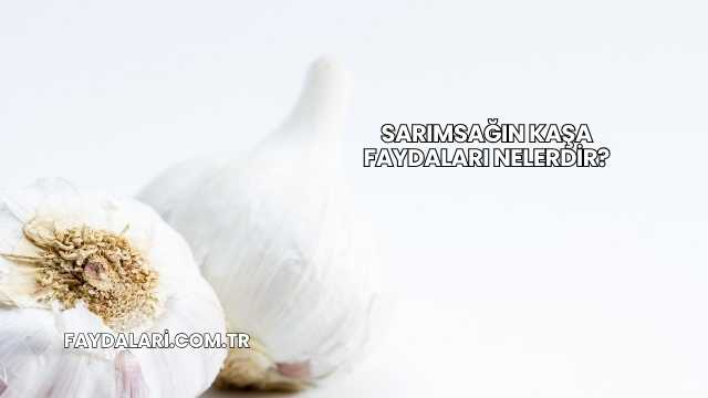 Sarımsağın Kaşa Faydaları Nelerdir?