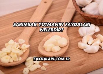 Sarımsak Yutmanın Faydaları Nelerdir?