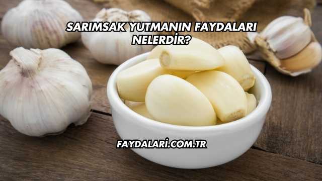 Sarımsak Yutmanın Faydaları Nelerdir?