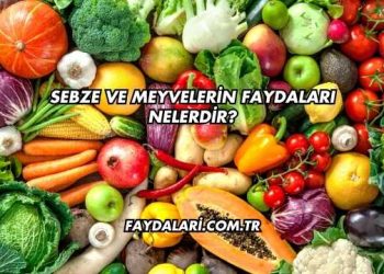Sebze ve Meyvelerin Faydaları Nelerdir?