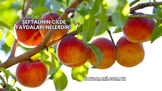 Şeftalinin Cilde Faydaları Nelerdir?