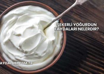 Şekerli Yoğurdun Faydaları Nelerdir?