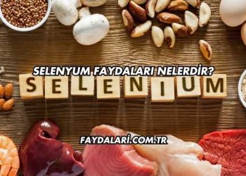 Selenyum Faydaları Nelerdir?