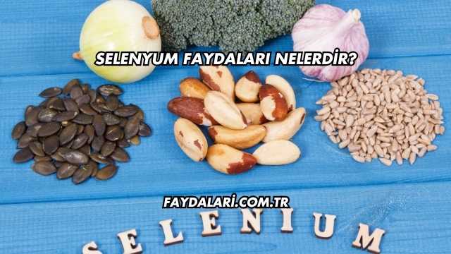 Selenyum Faydaları Nelerdir?