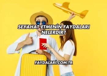 Seyahat Etmenin Faydaları Nelerdir?