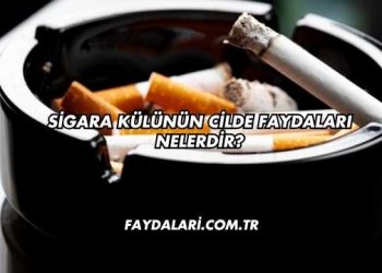 Sigara Külünün Cilde Faydaları Nelerdir?