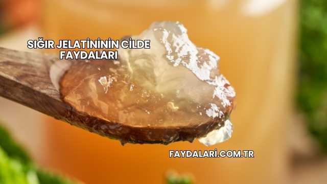 Sığır Jelatininin Cilde Faydaları