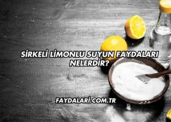 Sirkeli Limonlu Suyun Faydaları Nelerdir?
