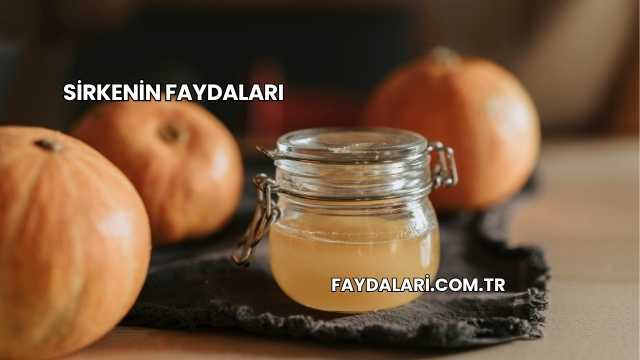 Sirkenin Faydaları