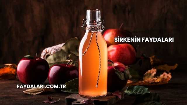Sirkenin Faydaları