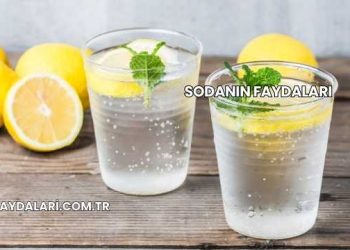 Sodanın Faydaları