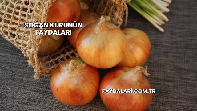 Soğan Kürünün Faydaları