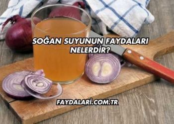 Soğan Suyunun Faydaları Nelerdir?