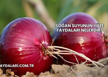 Soğan Suyunun Yüze Faydaları Nelerdir?