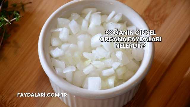 Soğanın Cinsel Organa Faydaları Nelerdir?