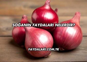 Soğanın Faydaları Nelerdir?
