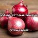 Soğanın Faydaları Nelerdir?