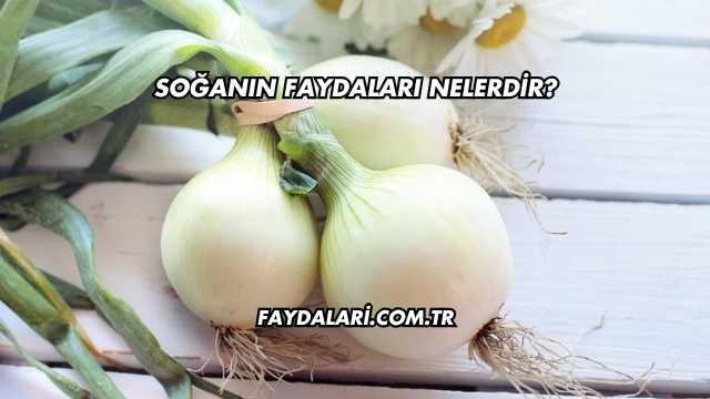 Soğanın Faydaları Nelerdir?