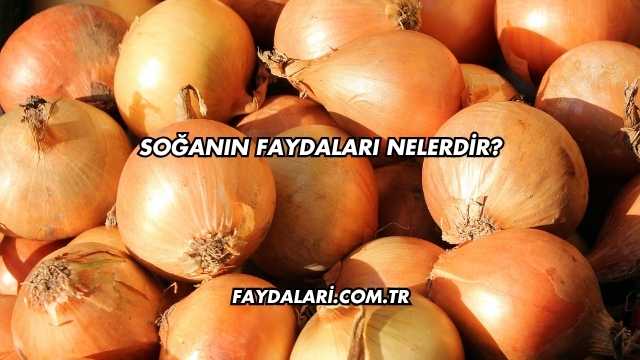 Soğanın Faydaları Nelerdir?