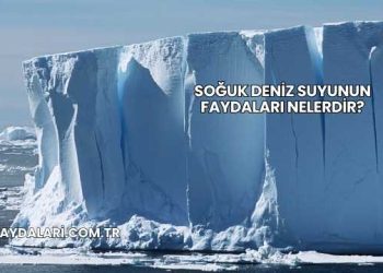 Soğuk Deniz Suyunun Faydaları Nelerdir?