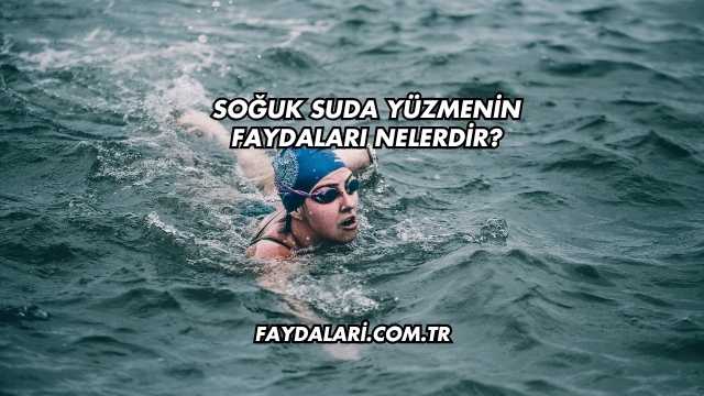 Soğuk Suda Yüzmenin Faydaları Nelerdir?