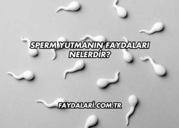 Sperm Yutmanın Faydaları Nelerdir