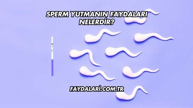 Sperm Yutmanın Faydaları Nelerdir