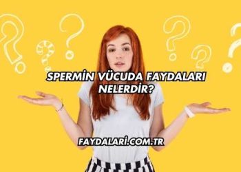 Spermin Vücuda Faydaları Nelerdir?