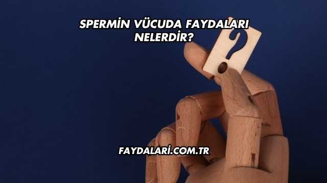 Spermin Vücuda Faydaları Nelerdir?