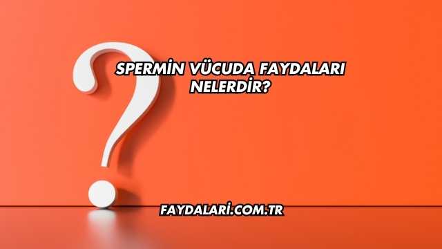 Spermin Vücuda Faydaları Nelerdir?