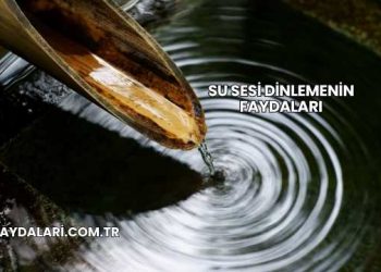 Su Sesi Dinlemenin Faydaları