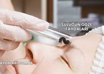 Sülüğün Göze Faydaları