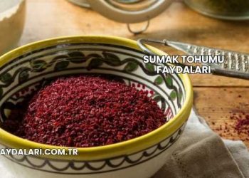 Sumak Tohumu Faydaları