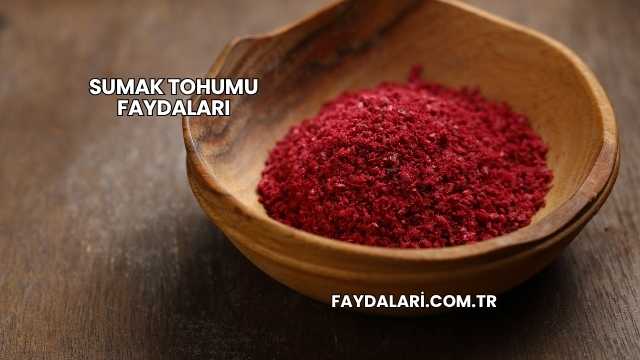 Sumak Tohumu Faydaları