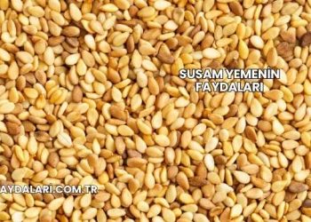 Susam Yemenin Faydaları