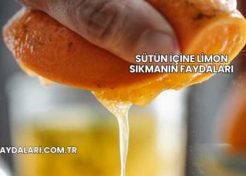 Sütün İçine Limon Sıkmanın Faydaları