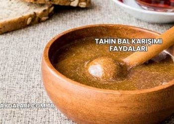 Tahin Bal Karışımı Faydaları