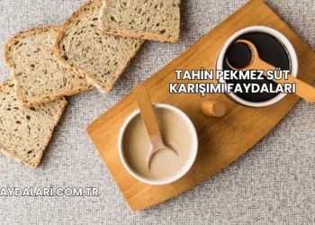 Tahin Pekmez Süt Karışımı Faydaları