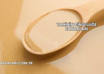 Tahinin Cinselliğe Faydaları
