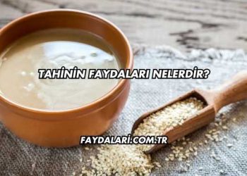 Tahinin Faydaları Nelerdir?