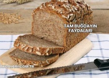 Tam Buğdayın Faydaları