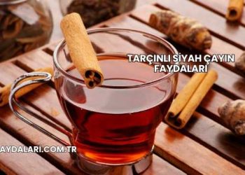 Tarçınlı Siyah Çayın Faydaları