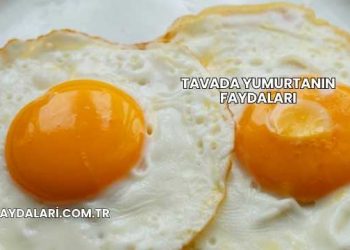 Tavada Yumurtanın Faydaları