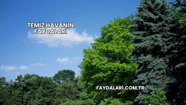 Temiz Havanın Faydaları